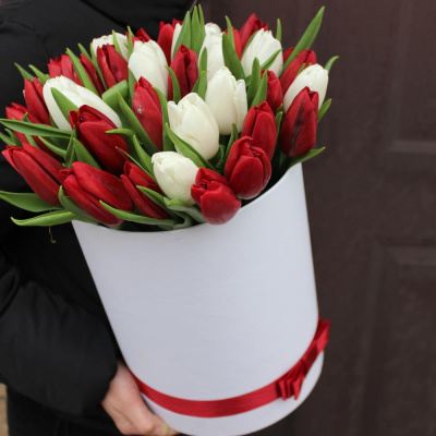 Тюльпаны в коробке 35 шт. (красный и белый) 46095