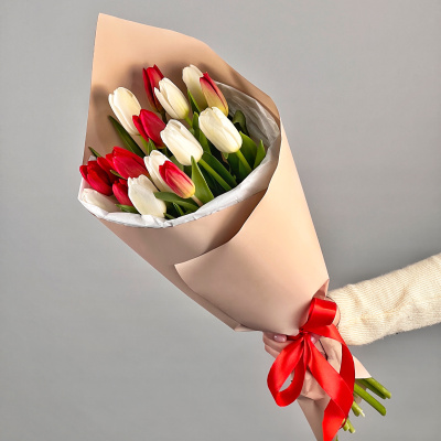 Букет из 15 красно-белых тюльпанов 28405