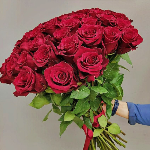 Букет из 51 Красной розы 60 см арт. 7298