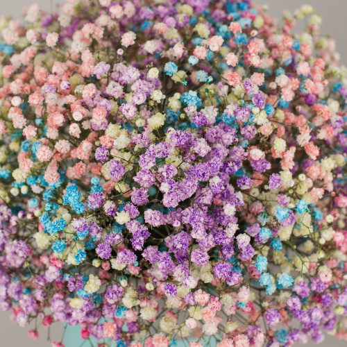 Коробка с цветной гипсофилой арт. 47195