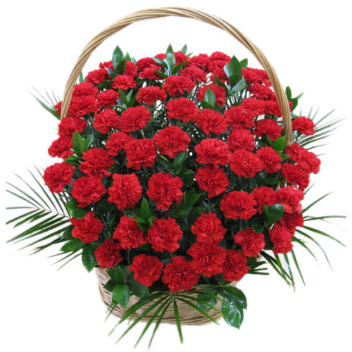 Корзинка "Вечная память" из 50 красных гвоздик