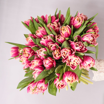 Букет из 51 пионовидного тюльпана Колумбус 46174